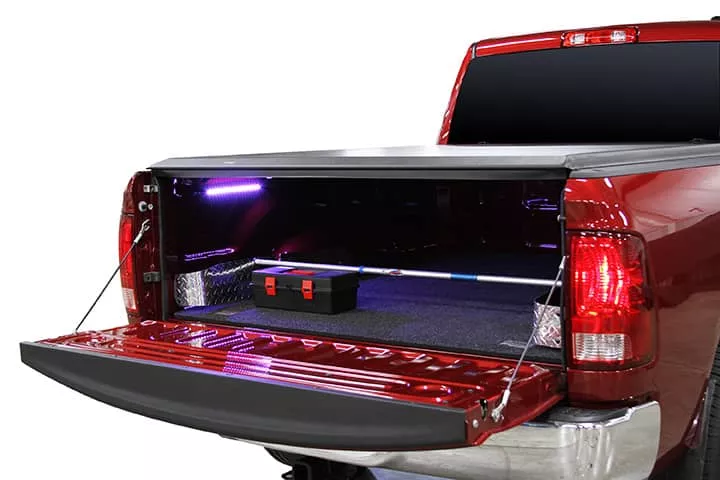 ACI LED LIGHTS 18" AA Battery LED Light-80312