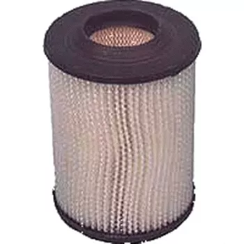 Air Filter (Fits Select E-Z-GO & Columbia / HD Models)