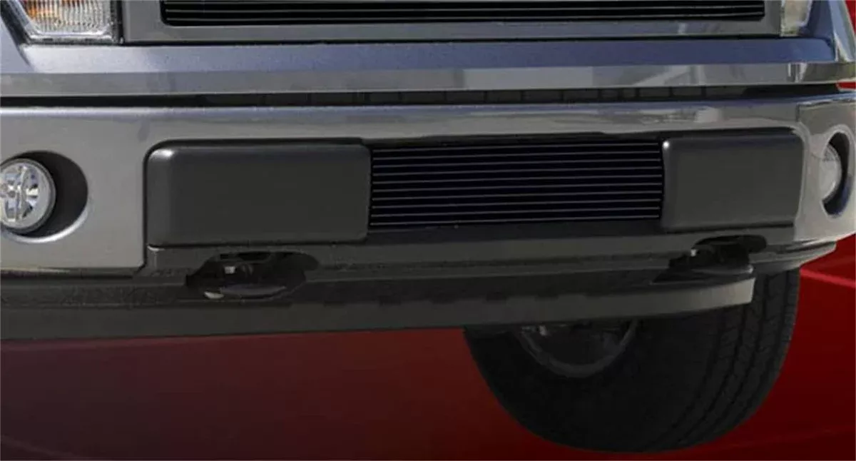 BILLET BUMPER INSERTS 09-14 F150-25569B