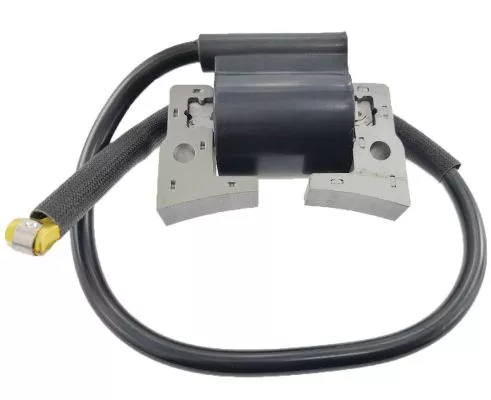 Ignition Coil & Ignitor, '97-'15