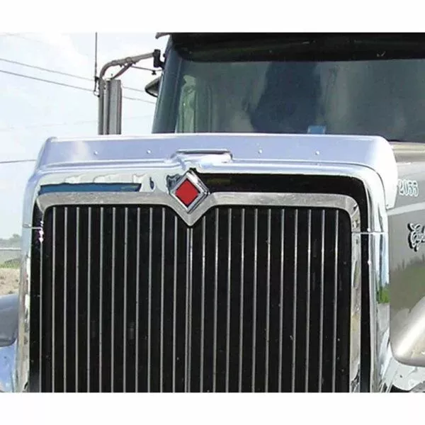 International 9900 SS Bug Shield