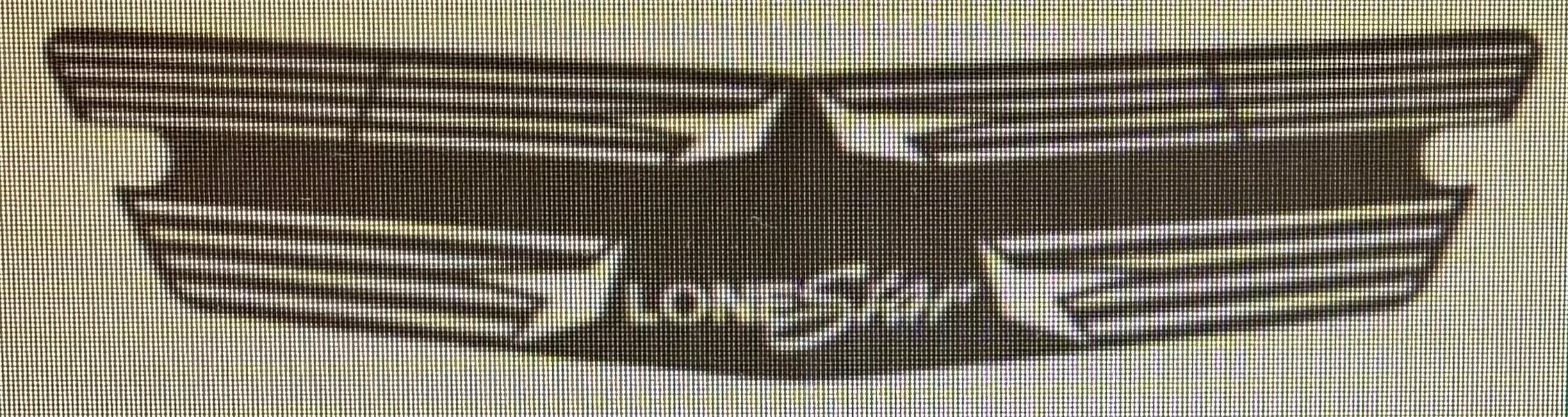 International Lonestar Stainless Steel Bumper Insert