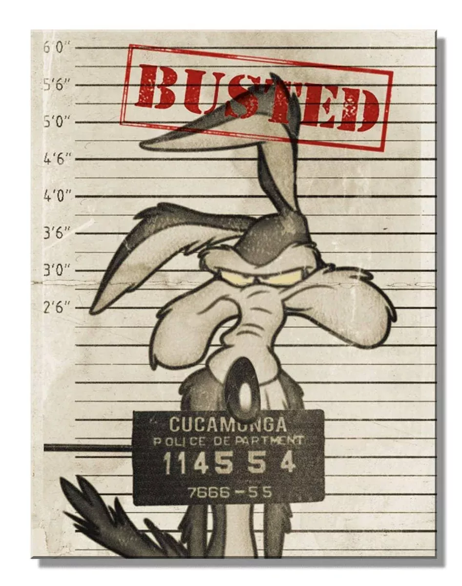 LOONEY TUNES BUSTED-7211