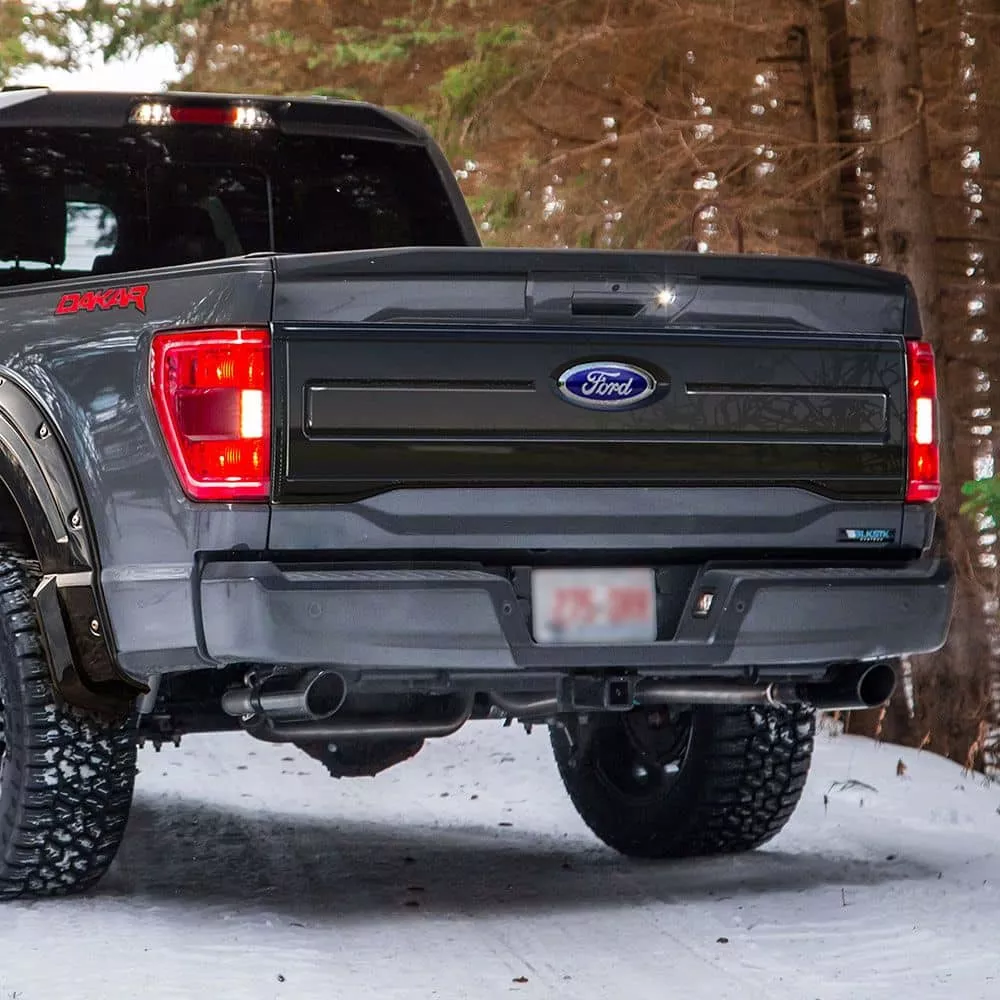 TAILGATE APPLIQUE 21-26 F150-FO31A06