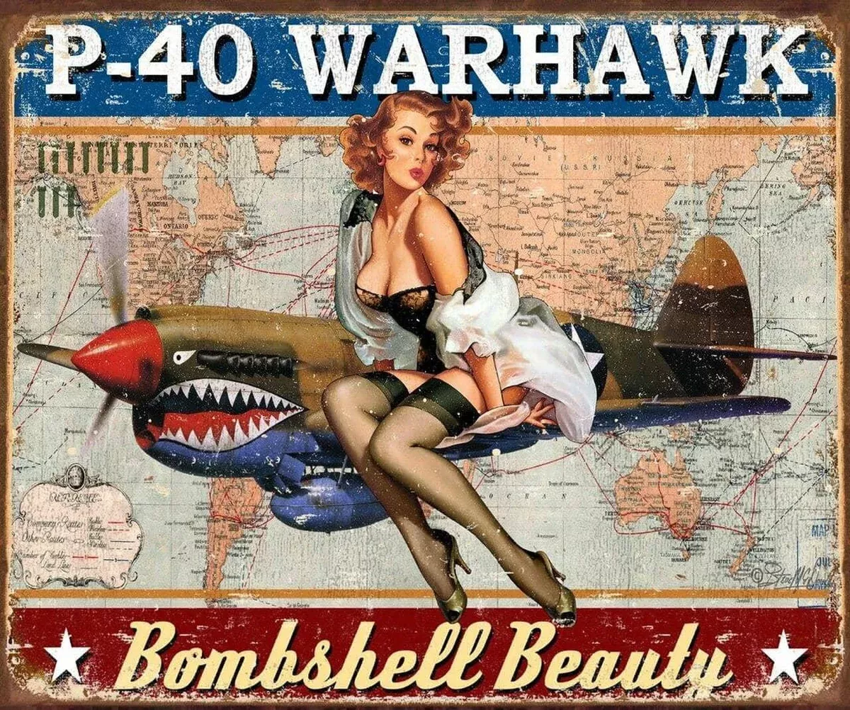 TIN SIGN P-40 WARHAWK-2460