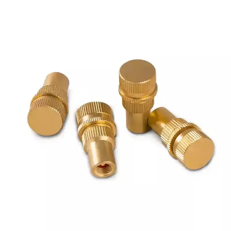 Tyre Deflators Brass Air Deflator 0-60 PSI